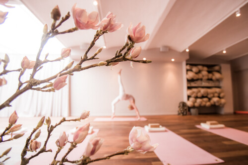 Springtime at Altromondo Yoga in Stockholm with Jennie Liljefors by Paulina Westerlind 